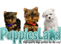 puppiesland_logo_mobile